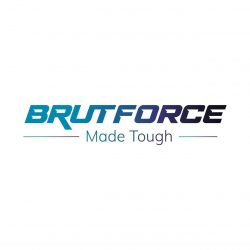 BrutForce